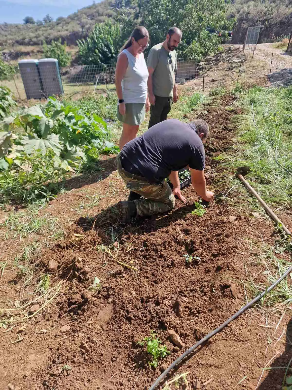 Follow Yiannis in the tour of Arevitis Farm! He is a great Farmer