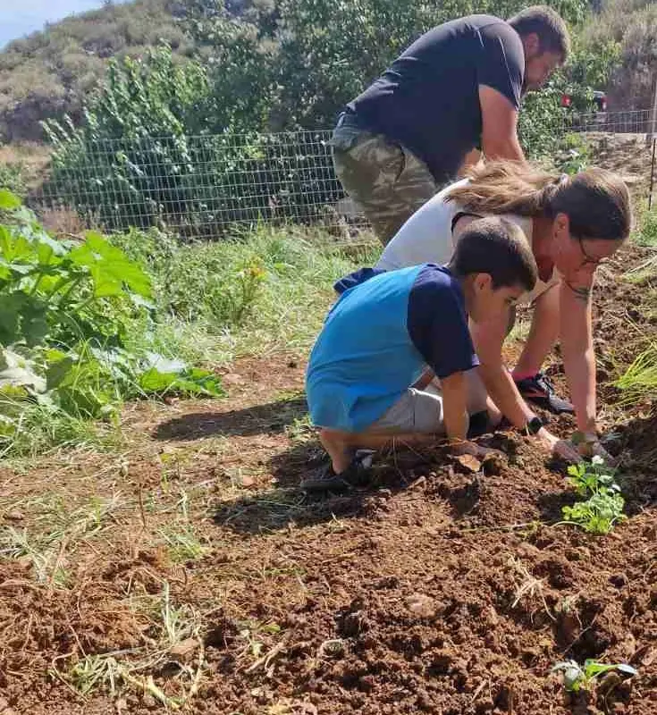 Be a farmer for a day! Arevitis Farm 