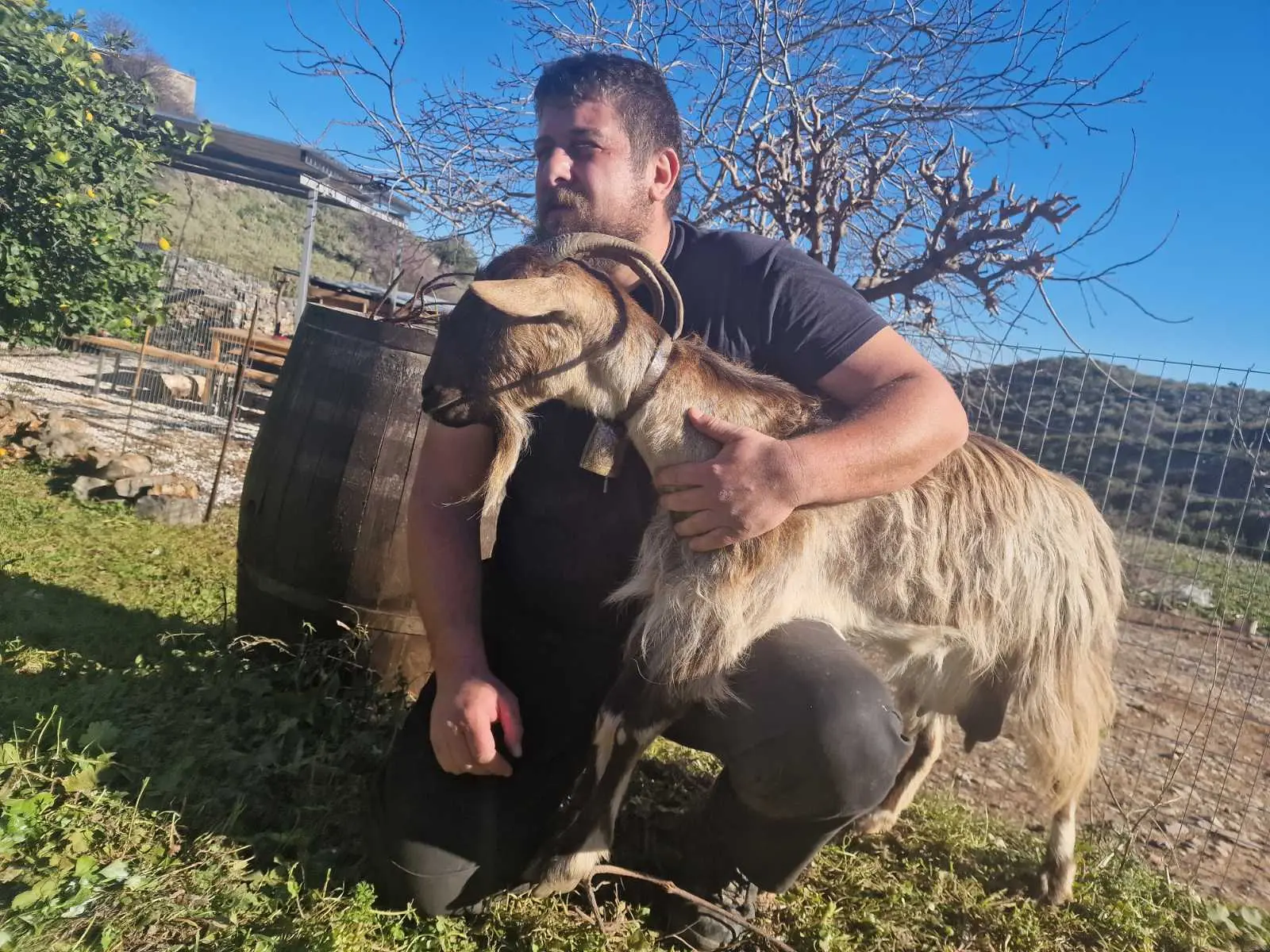 Yannis is the "boss" in Arevitis Farm - Meet him