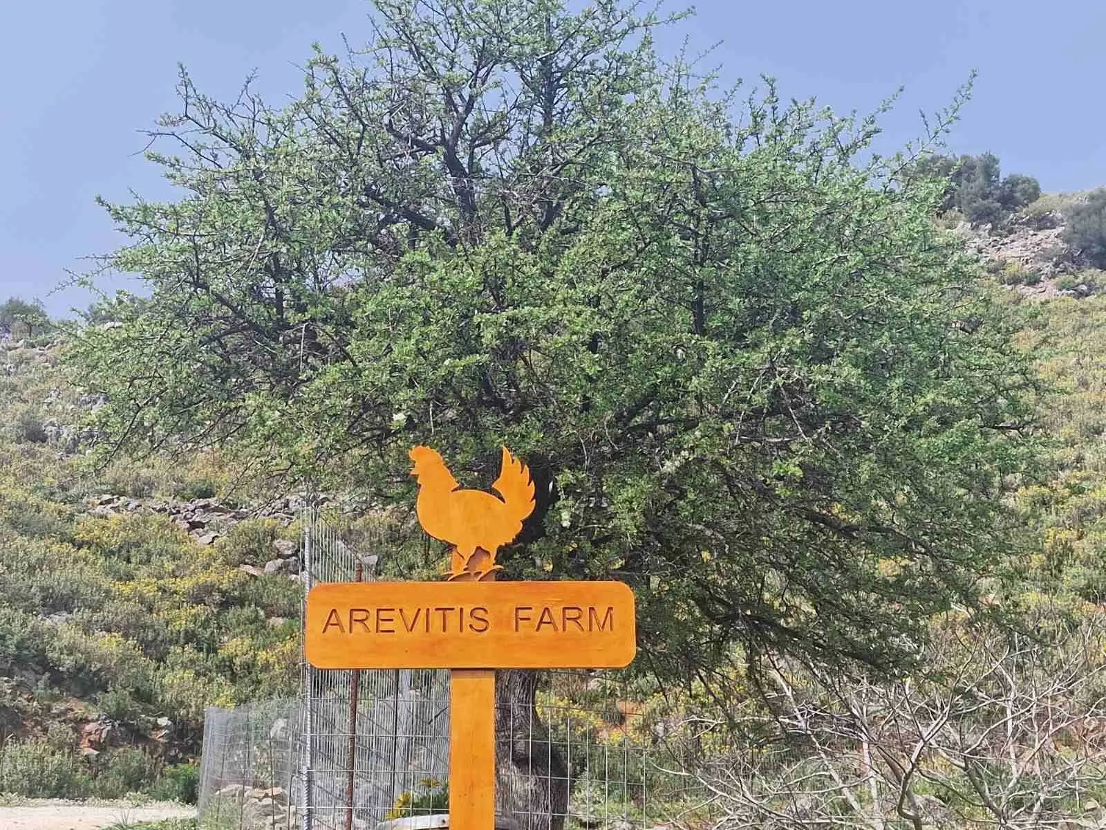 Arevitis Farm Φάρμα στον Βαφέ Αποκορώνου Είσοδος