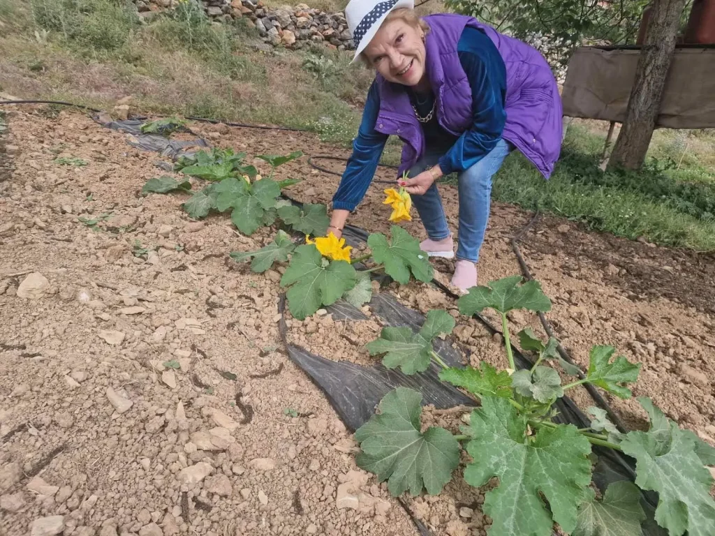 VEGETABLE PLANTING-AREVITIS FARM-CHANIA