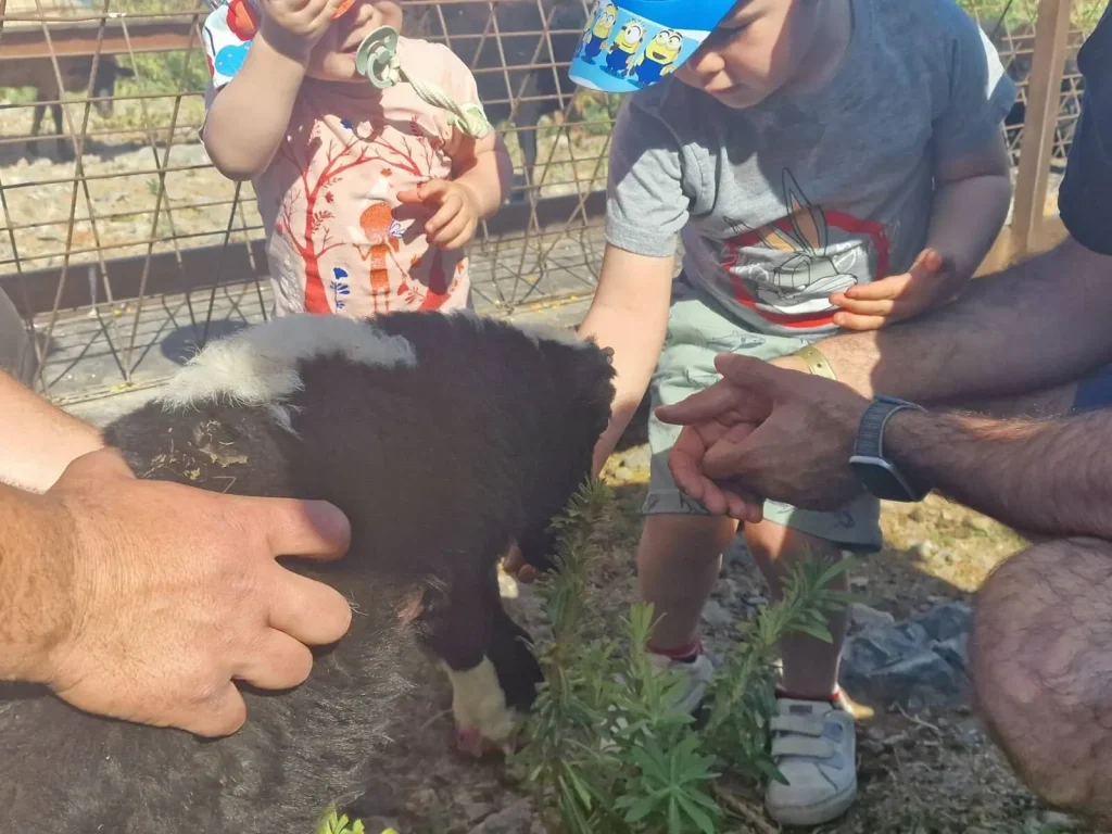 Children feeding farm animals - Arevitis Farm