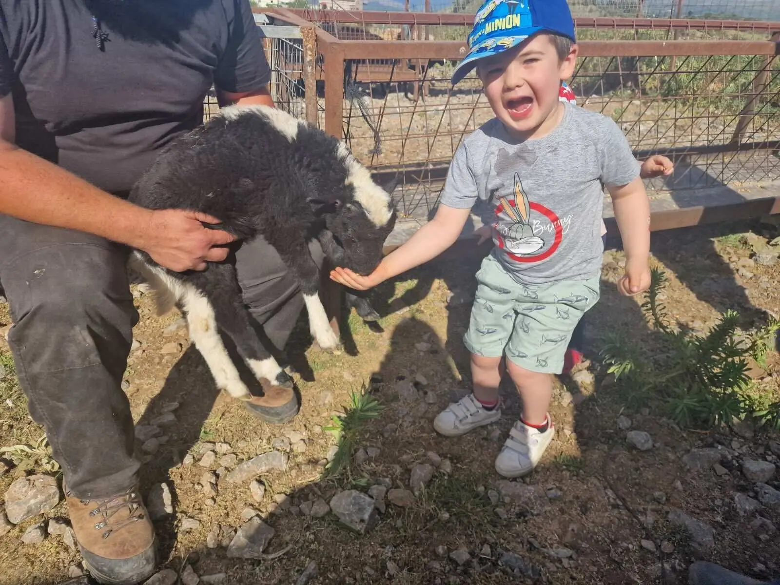 farm for kids to feed the animals arenitis farm chanai crete