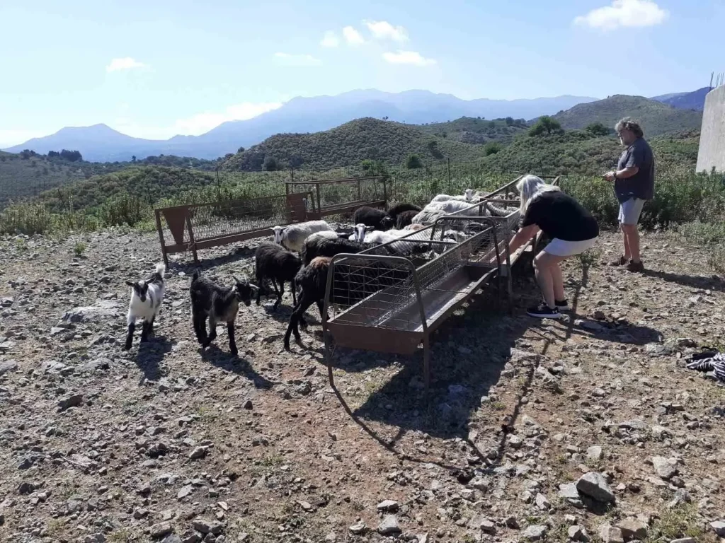 Farm with animals and stunning views of nature and mountains - Arevitis Farm - Apokoronas - Chania