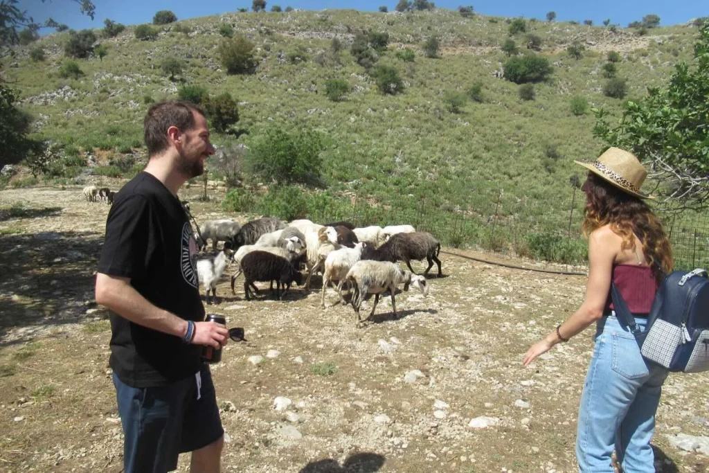 Meet the Cretan routine on the mountains!