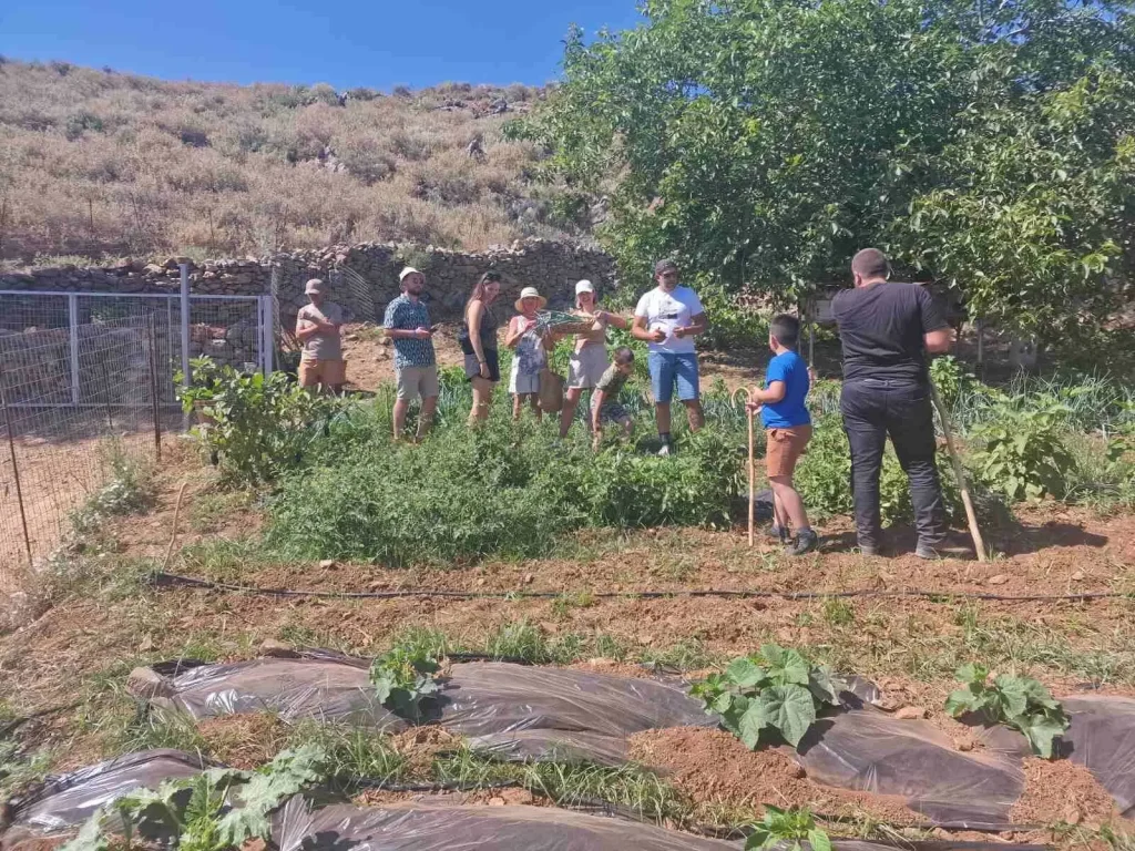 Group Day at Arevitis Farm!