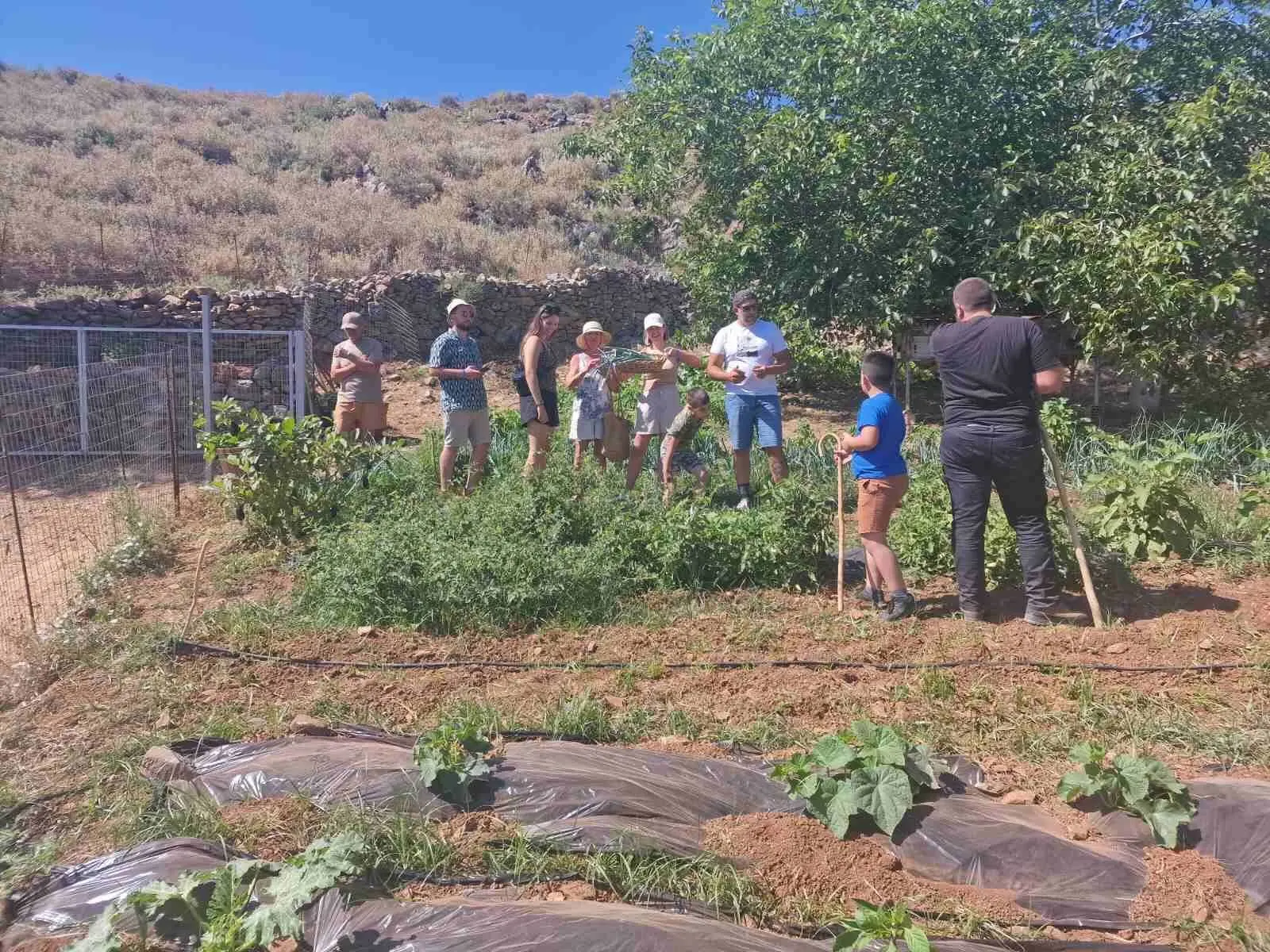 Group Day at Arevitis Farm!