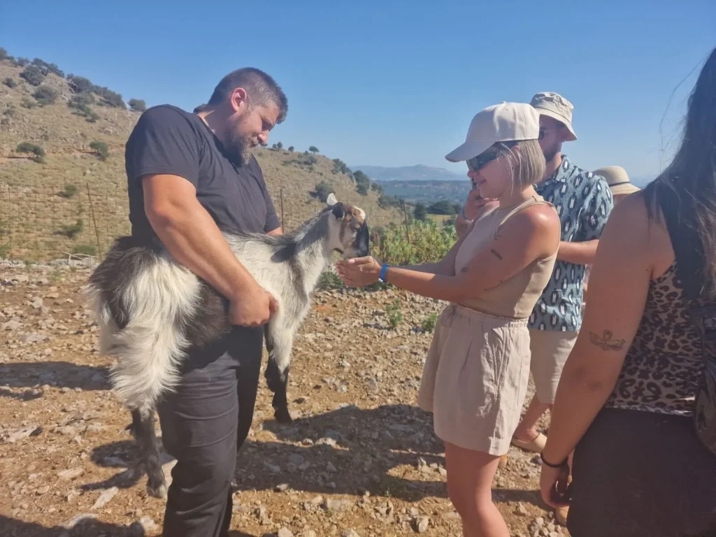 Meet the traditional cretan farm in Chania - Arevitis Farm!