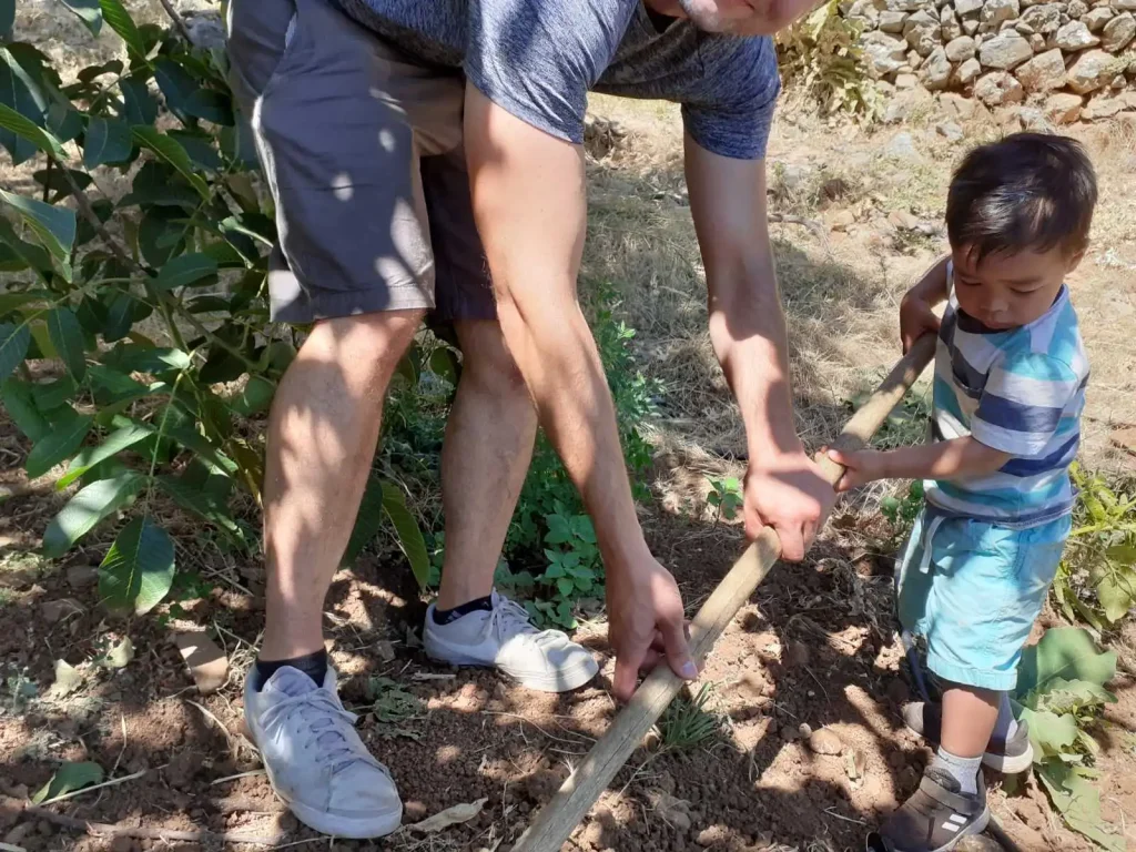 δραστηριότητες φάρμας στα Χανιά