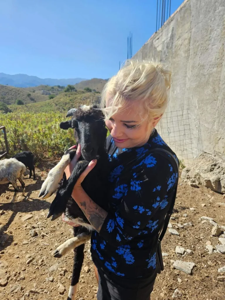 Authentic Cretan experiences with animals, activities for kids Chania, agrotourism Chania, visit a farm Chania, and traditional activities Crete