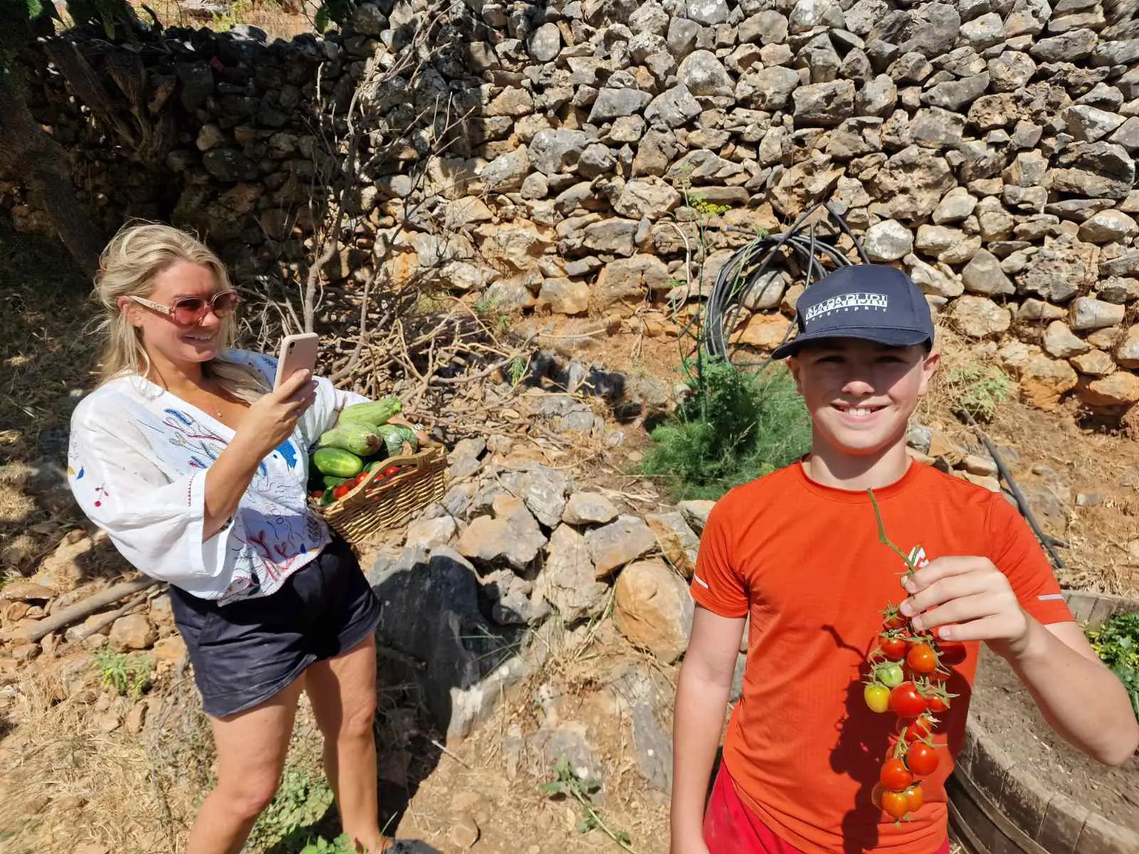 Harvesting vegetables at Arevitis Farm in Chania, Crete.