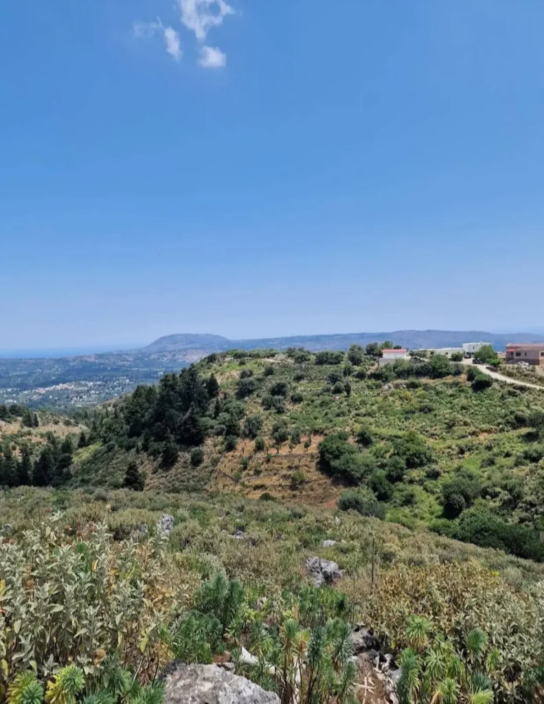 Scenic view of the rolling green hills and scattered farmhouses in Vafes village, with distant mountains under a clear blue sky.