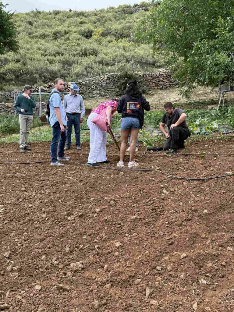 Visitors working together in a red-soil garden at Arevitis Farm, surrounded by stone walls and green Cretan hills.