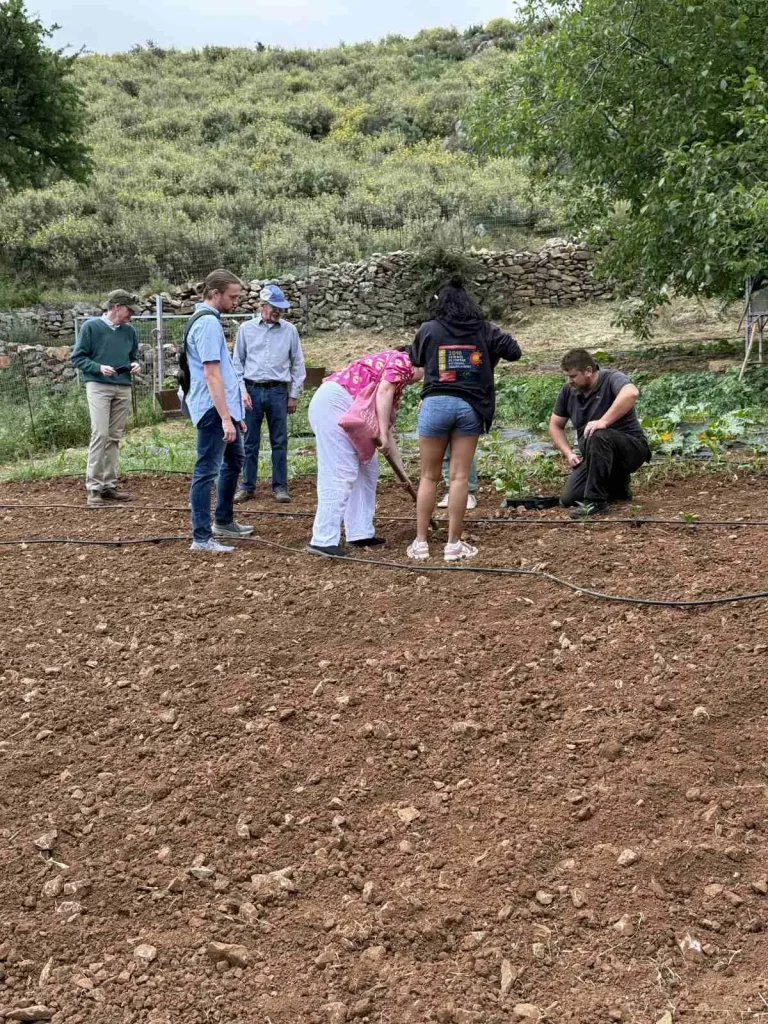 Visitors participating in a hands-on farming activity at Arevitis Farm in the village of Vafes, Apokoronas, Crete.