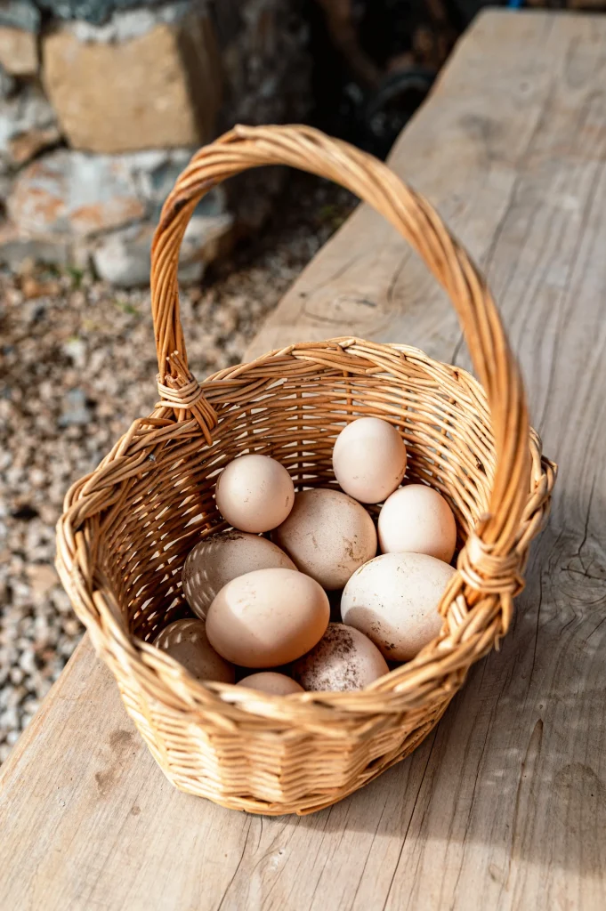eggs in a basket at Arevitis Farm Chania Crete