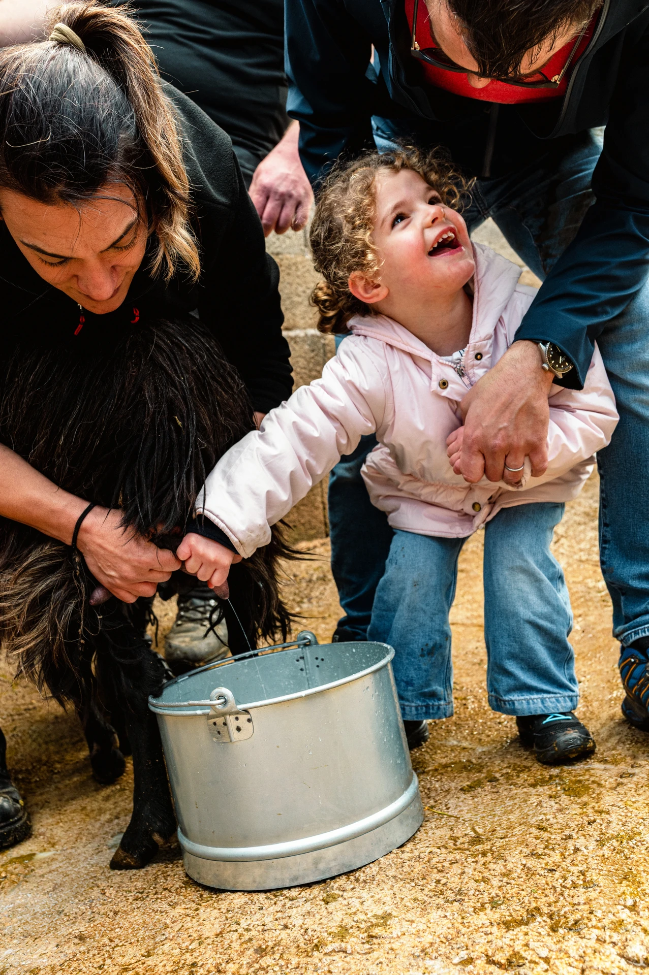 iro and small child milking goat at arevitis Farm chania crete